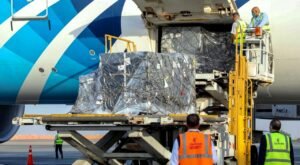 كندا تتبرع لمصر بـ 784 ألف جرعة لقاح مضاد لفيروس كورونا